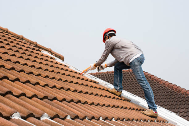 Best Skylight Installation and Repair  in Ocala Estates, FL